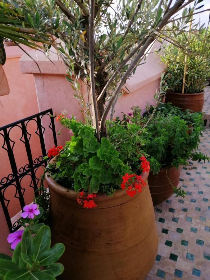 Riad Aventurine Marrakesh Exterior foto